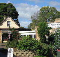 Tipsy Fig - Tourism Canberra