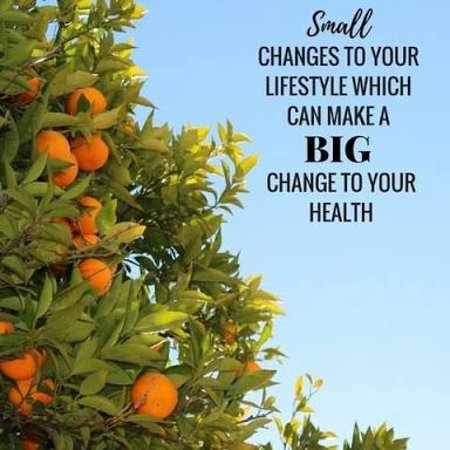 Nelson Bay Health Foods - Tourism Canberra 0