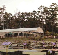 Abundance Cafe and Garden Centre - Tourism Canberra