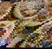 The Re Store Northbridge - Tourism Canberra