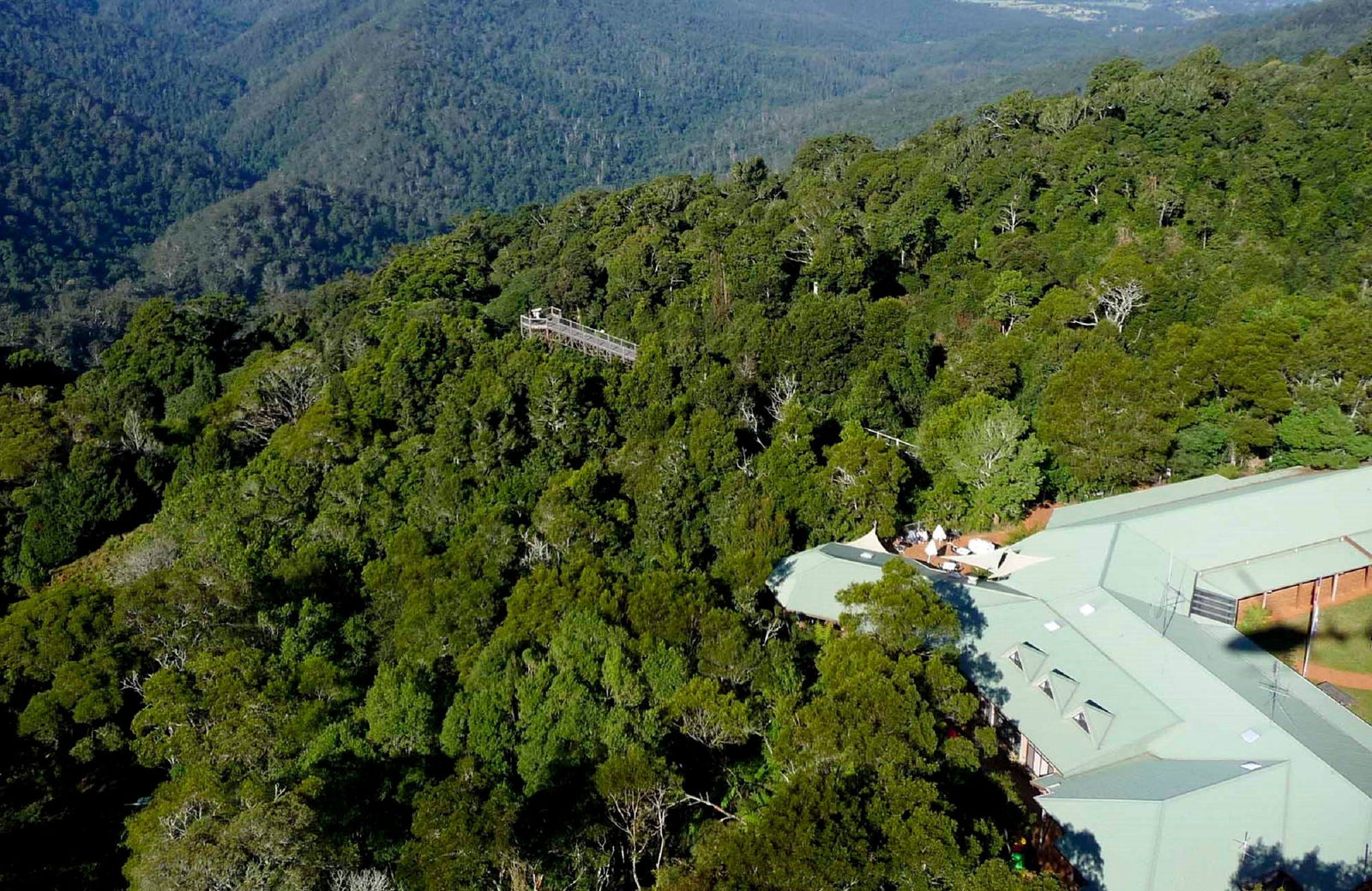 Dorrigo Mountain NSW Tourism Canberra