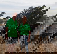 Milawa Organic Beef - Tourism Canberra
