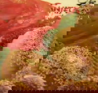 Shifu Dumpling Express - Tourism Canberra