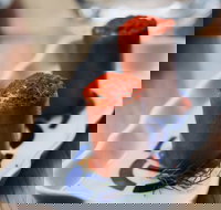 MoVida  The Airport - Mascot - Tourism Canberra