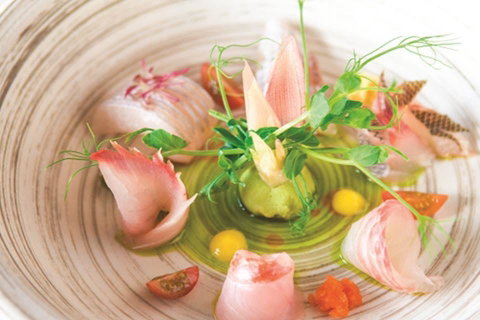 TARA SUSHI BAR - Tourism Canberra 0