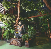 The Jungle - Kent Town Hotel