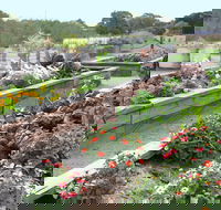 The Farmer's Place - Tourism Canberra