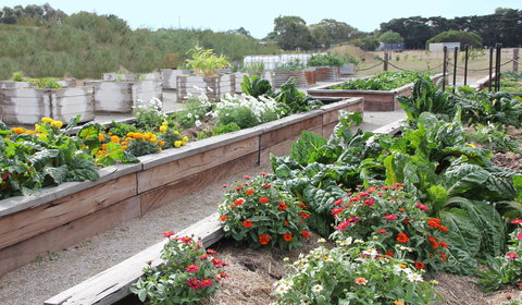 The Farmer's Place - Tourism Canberra 0