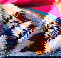 Donut King - Sunshine - Tourism Canberra