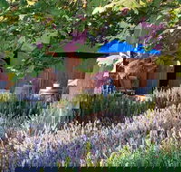 Macquariedale Organic Wines - Tourism Canberra