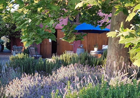 Macquariedale Organic Wines - Tourism Canberra 0