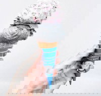 The Max Joy Co. - Eastwood - Tourism Canberra