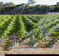 Weathercraft Wines - Tourism Canberra