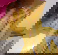 Red Rooster - Joondalup - Tourism Canberra