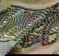 Bago Maze and Wine - Tourism Canberra