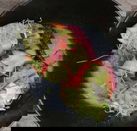 Crowded House - Tourism Canberra