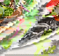 Sumo Salad - South Brisbane - Tourism Canberra