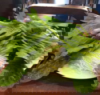 The Cube Hot Pot - Tourism Canberra