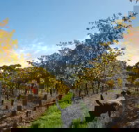 Ruddenklau Wines - Tourism Canberra