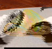 Wrap N Roll - Helensvale - Tourism Canberra