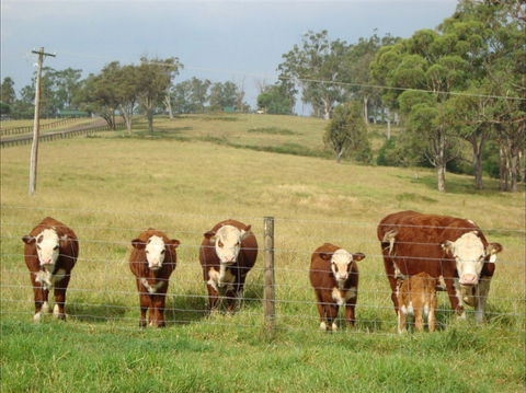 Langdale Farm - Tourism Canberra 1