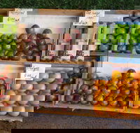 Melonhead - Tourism Canberra