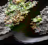 Arthur Waterhouse Lounge - Tourism Canberra