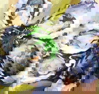 Captain  Co Fish Bar - Tourism Canberra