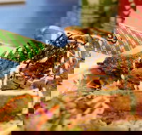 Korean Fried Chicken Truck - Tourism Canberra