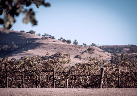 Liebichwein - Tourism Canberra 2