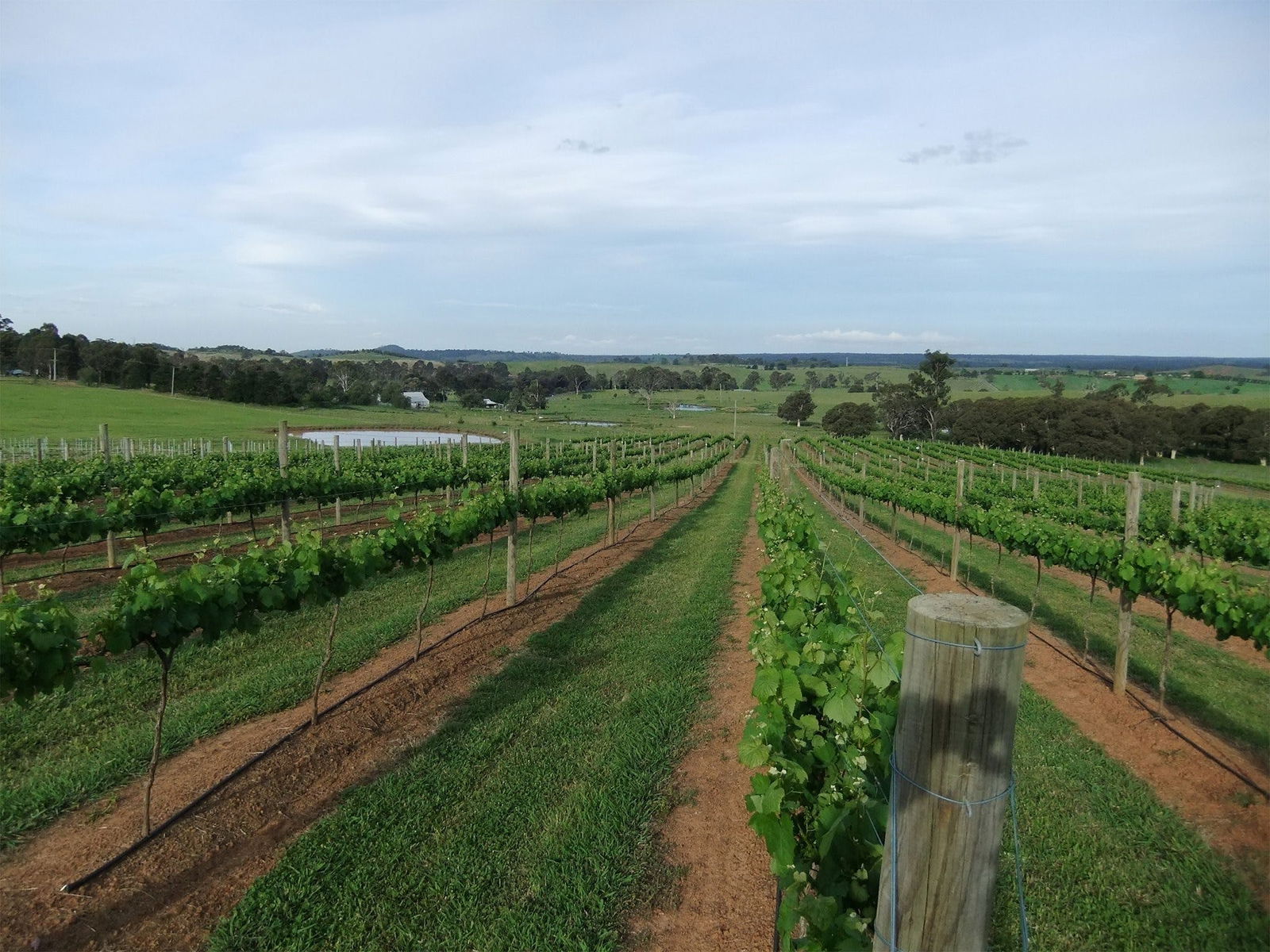 Menangle NSW Tourism Canberra