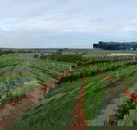 Razorback Ridge Wines - Tourism Canberra