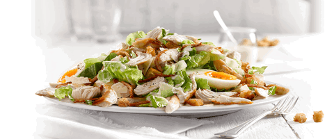 Sumo Salad - Success - Tourism Canberra 0