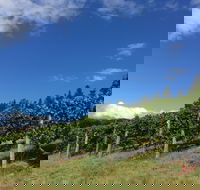 Freycinet Vineyard - Tourism Canberra