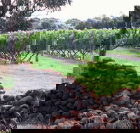 Spring Vale Vineyard - Tourism Canberra