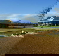 Thomson Brook Wines - Tourism Canberra