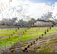 Long Point Vineyard and Art Gallery - Tourism Canberra