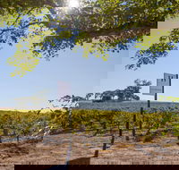 Hayes Family Wines - Tourism Canberra