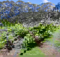 Woongooroo Estate Winery - Tourism Canberra