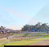 Blacklea Vineyard and Olive Grove - Tourism Canberra