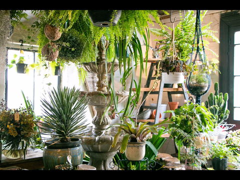 Deadwood - Tourism Canberra 2