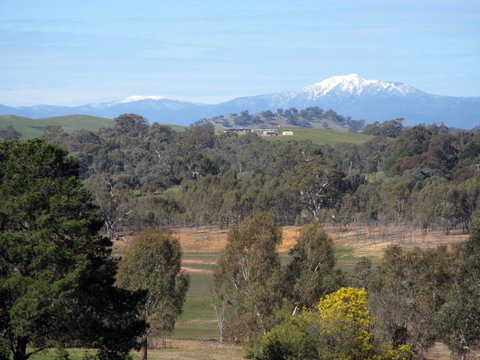 Chocolaterie RenMar - Tourism Canberra 1