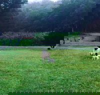 Goat Hill Farm - Tourism Canberra