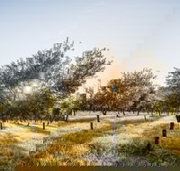Guneemooroo Estate - Tourism Canberra