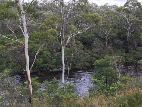 Mongarlowe Gourmet - Tourism Canberra 2