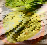 Ck's Bites - Tourism Canberra