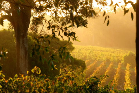 Deep Woods Estate - Tourism Canberra 1