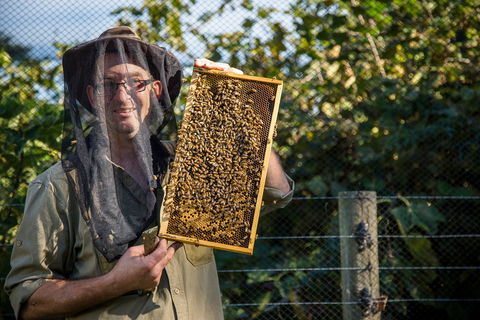 Pure Peninsula Honey - Tourism Canberra 0