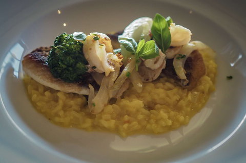 The Cowrie - Tourism Canberra 0