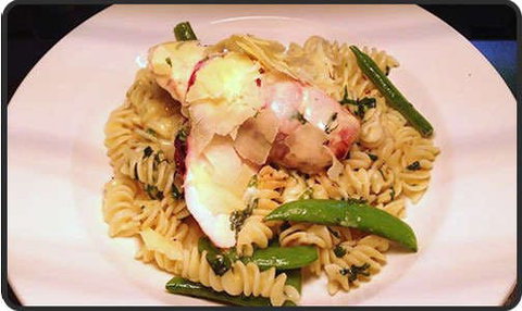 Spotty Cat - Tourism Canberra 0